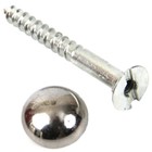 Mirror, Anti-Vandal & Carcass Screws