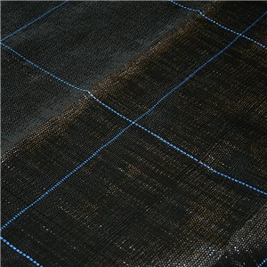 WGGC09501201